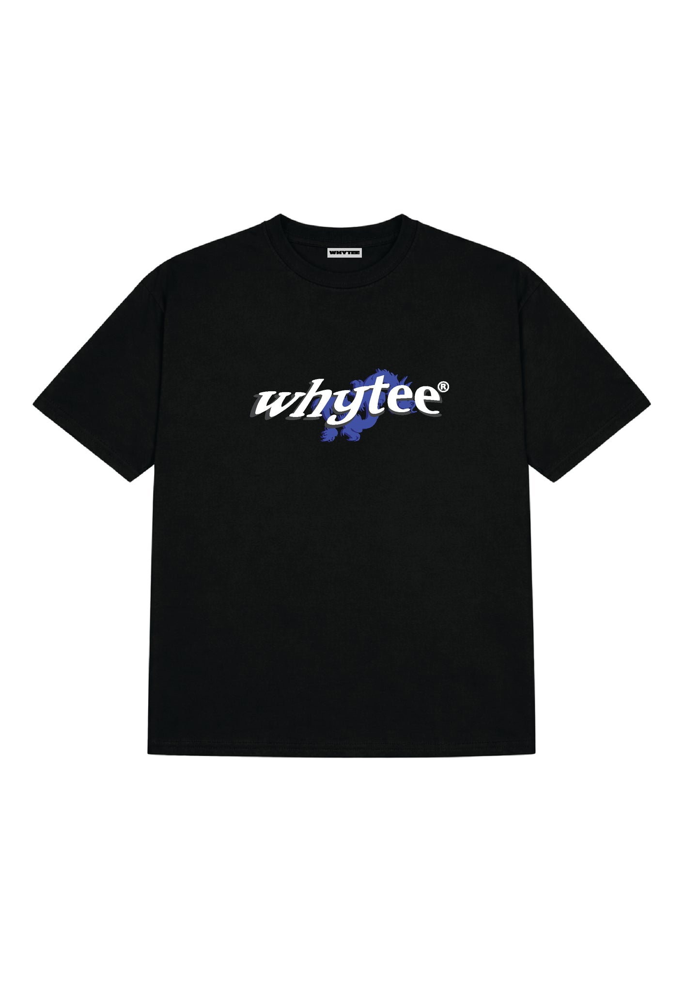 Pass Lighter Not Stress tee